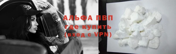 шишки Армянск