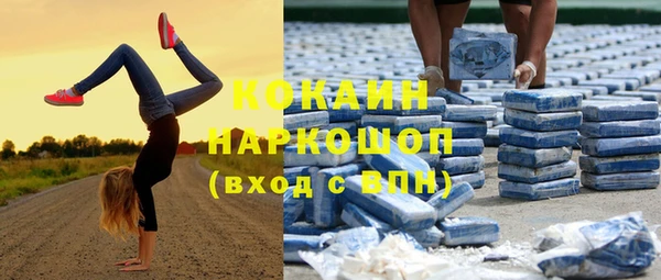 ГАЛЛЮЦИНОГЕННЫЕ ГРИБЫ Арсеньев