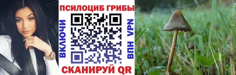 Псилоцибиновые грибы мухоморы  купить   Кинель 