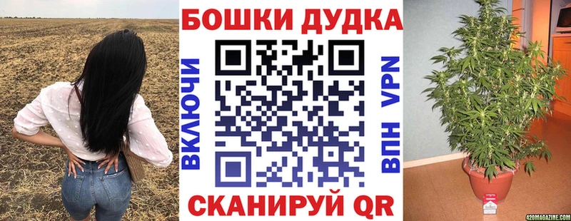 продажа наркотиков  darknet состав  Каннабис конопля  Кинель 